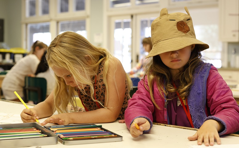 Art Exploration with Pastels, Watercolor, & Colored Pencils 3-4 (B) – Patty Nelson: H6