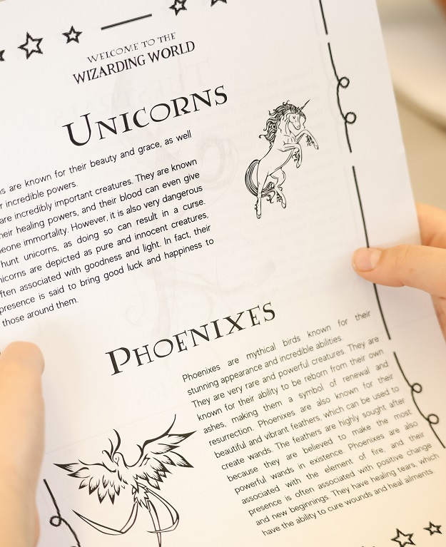 Welcome to the Wizarding World 4-7 (G) – Floriane Siegel: H25