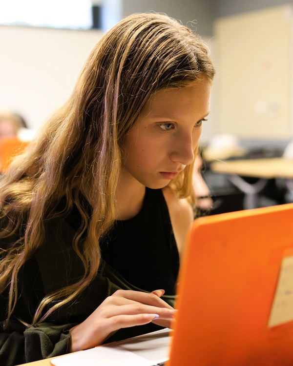 Essay Mastery – Crafting Clear and Concise Prose 9-12 (A) – Michelle Otis: SC Poly 105